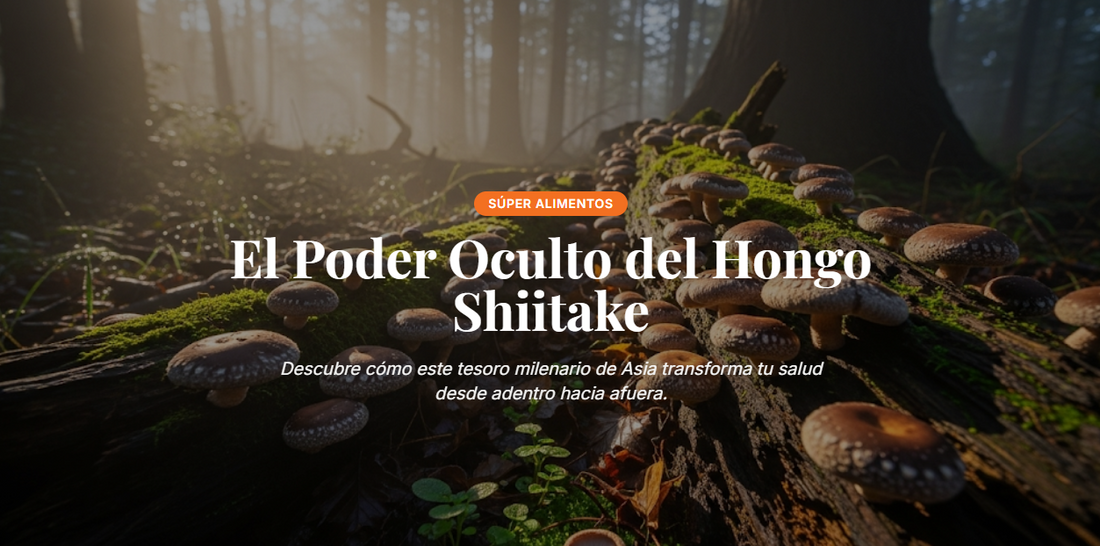 El Poder Oculto del Hongo Shiitake